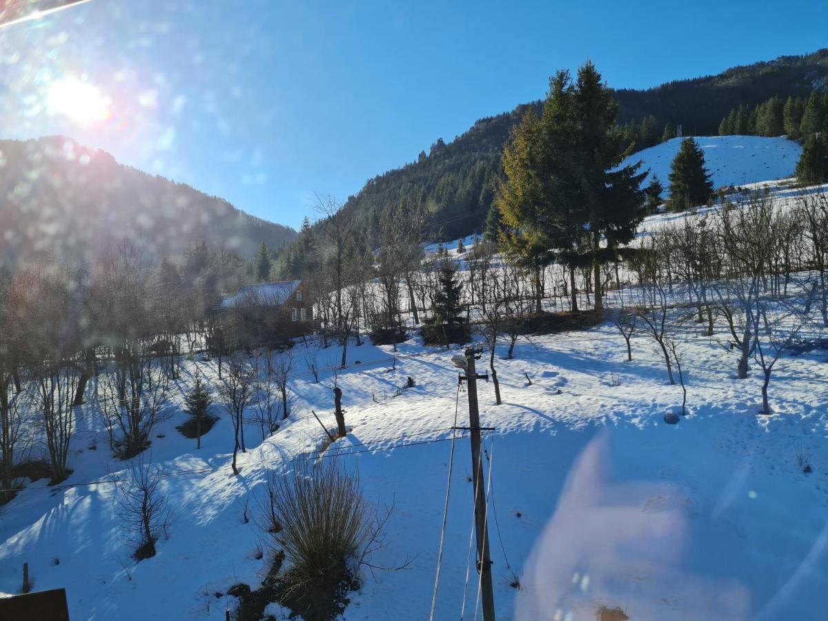 Penzion Mala Fatra U Durka Žilina Eksteriør bilde